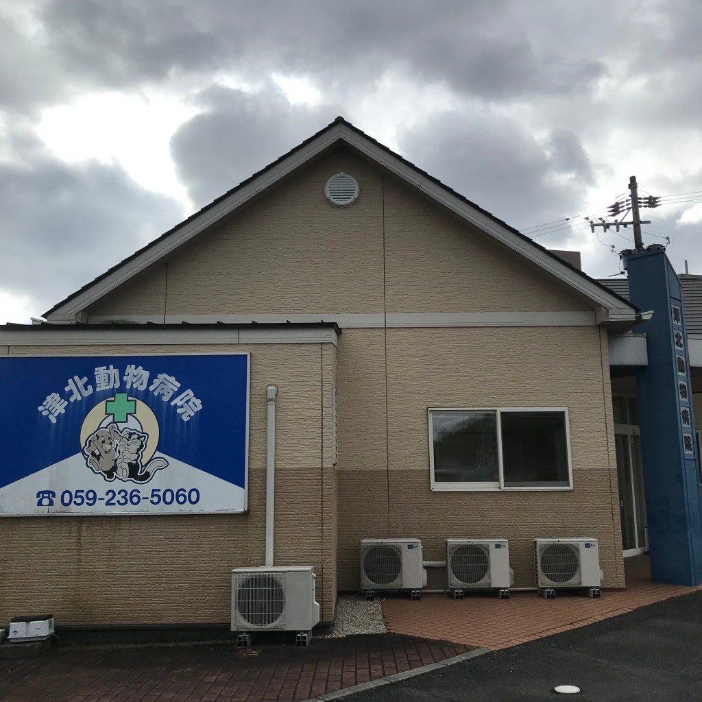 実際訪問したユーザーが直接撮影して投稿した一身田上津部田動物病院津北動物病院の写真