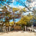 実際訪問したユーザーが直接撮影して投稿した社家町神社西宮神社の写真