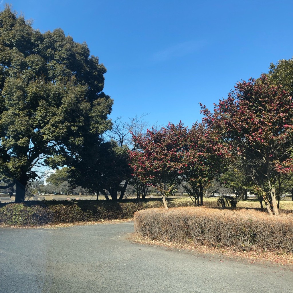 実際訪問したユーザーが直接撮影して投稿した豊野台公園豊野台公園の写真