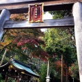 実際訪問したユーザーが直接撮影して投稿した新堀神社高麗神社の写真