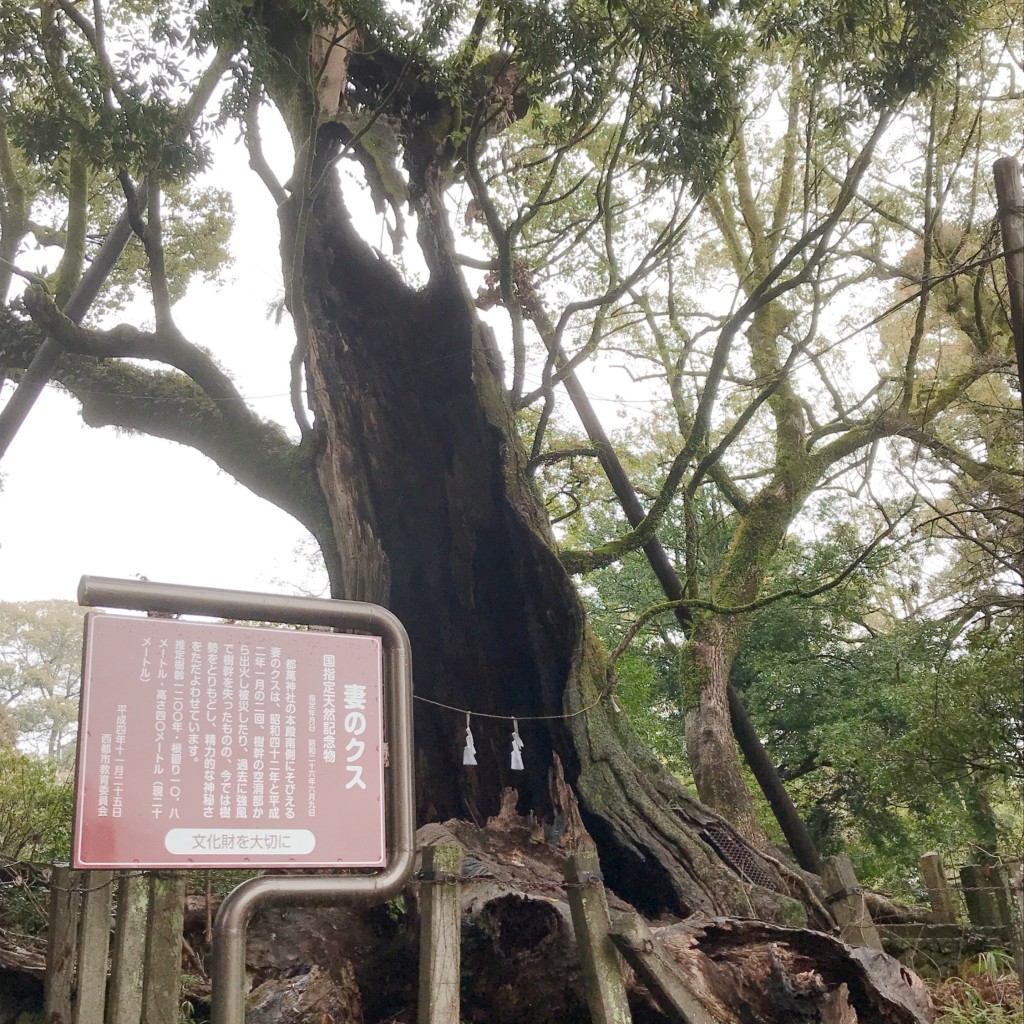 実際訪問したユーザーが直接撮影して投稿した妻神社都萬神社の写真