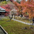 実際訪問したユーザーが直接撮影して投稿した山ノ内寺長寿寺の写真