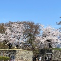 実際訪問したユーザーが直接撮影して投稿した二の丸城 / 城跡上田城の写真