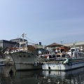 実際訪問したユーザーが直接撮影して投稿した港町クルージング小樽運河クルーズの写真