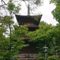 実際訪問したユーザーが直接撮影して投稿した豪徳寺寺豪徳寺の写真