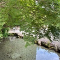 実際訪問したユーザーが直接撮影して投稿した洞川寺大峯山龍泉寺の写真