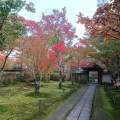 実際訪問したユーザーが直接撮影して投稿した薪里ノ内寺酬恩庵 一休寺の写真