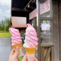 実際訪問したユーザーが直接撮影して投稿した滝ノ上原野アイスクリーム道の駅 香りの里たきのうえ 芝ざくらソフトクリーム 売店の写真