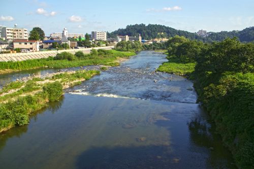 実際訪問したユーザーが直接撮影して投稿した桜ケ岡公園河川広瀬川の写真