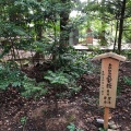 実際訪問したユーザーが直接撮影して投稿した佐田町須佐神社須佐神社の写真