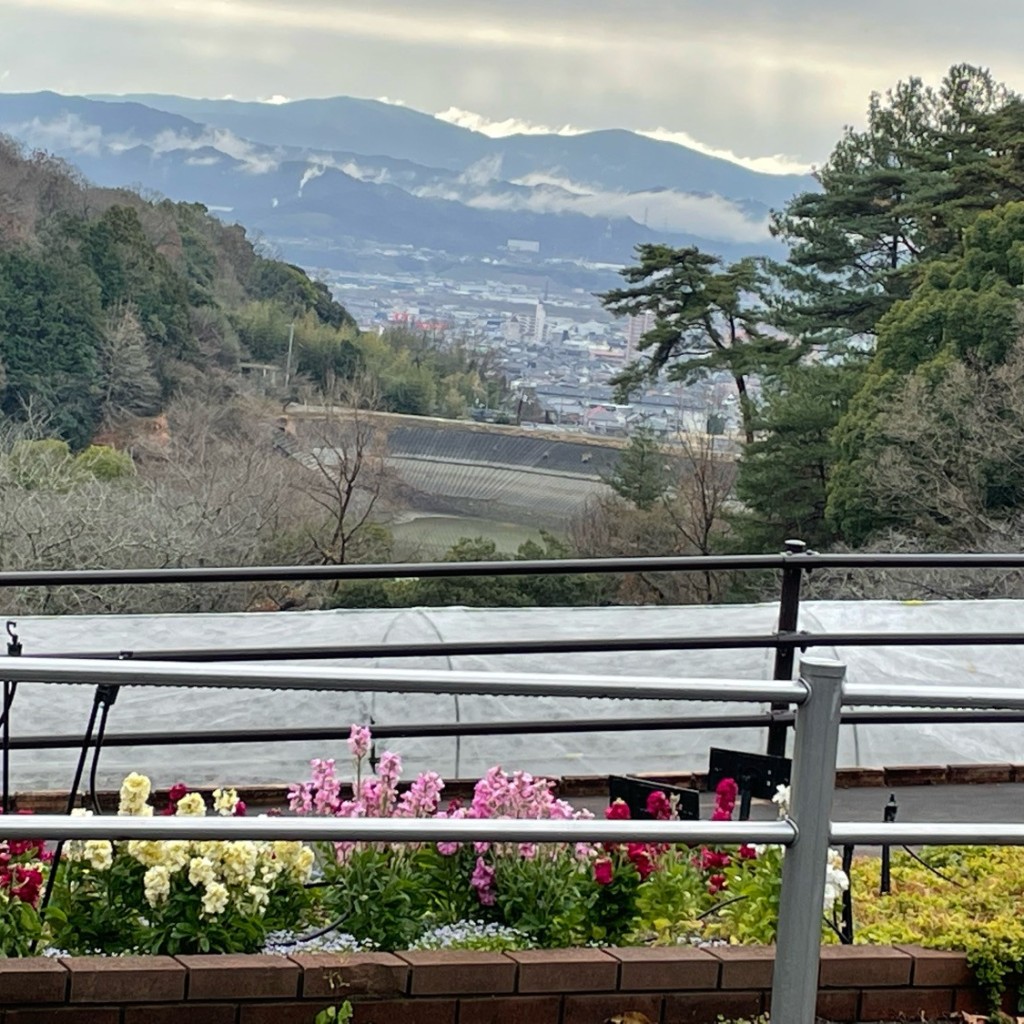 実際訪問したユーザーが直接撮影して投稿した東坂本植物園 / 樹木園和歌山県植物公園 緑花センターの写真