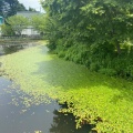 実際訪問したユーザーが直接撮影して投稿した発地植物園 / 樹木園軽井沢レイクガーデンの写真