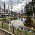 実際訪問したユーザーが直接撮影して投稿した田園調布公園宝来公園の写真