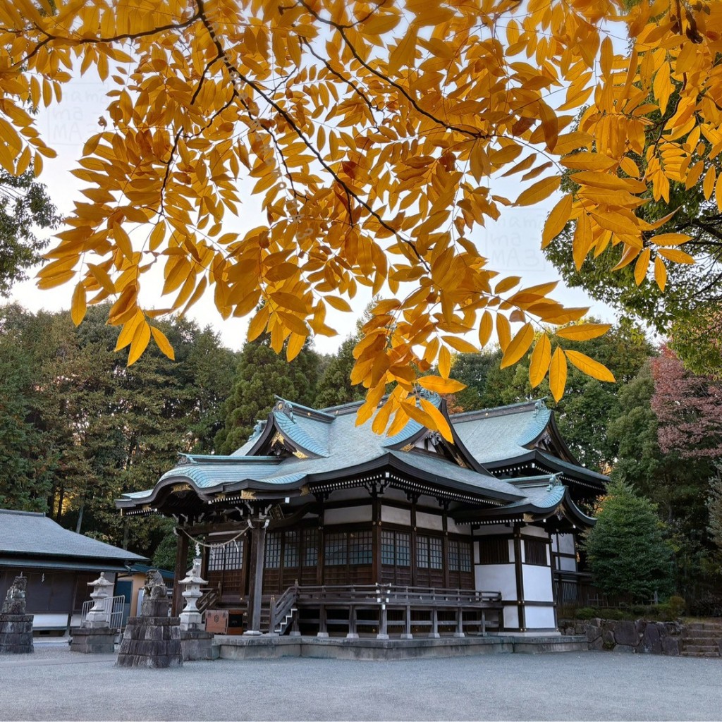 実際訪問したユーザーが直接撮影して投稿した落合神社白山神社の写真