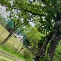 実際訪問したユーザーが直接撮影して投稿した保呂町公園保呂公園の写真