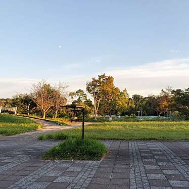 実際訪問したユーザーが直接撮影して投稿した木津川台公園木津川台公園の写真