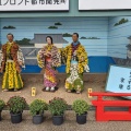 実際訪問したユーザーが直接撮影して投稿した湯島神社湯島天神の写真