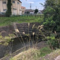 実際訪問したユーザーが直接撮影して投稿した河川境川の写真