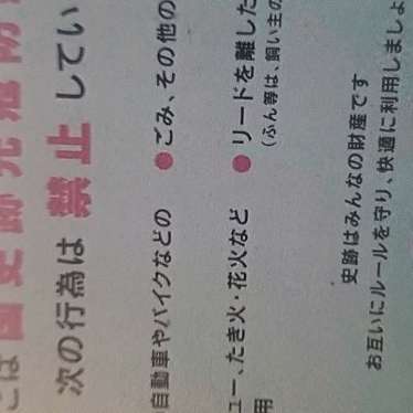 実際訪問したユーザーが直接撮影して投稿した今津海岸 / 岬長浜海岸の写真