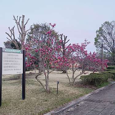 実際訪問したユーザーが直接撮影して投稿した壬生甲公園東雲公園の写真