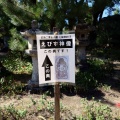 実際訪問したユーザーが直接撮影して投稿した二葉の里神社饒津神社の写真