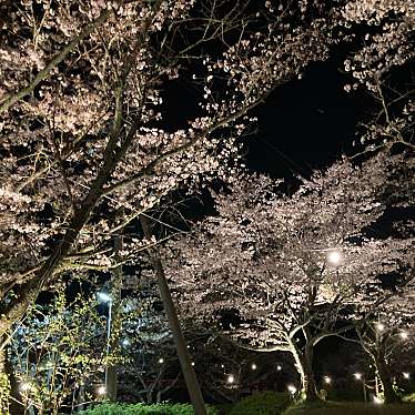 実際訪問したユーザーが直接撮影して投稿した菩提寺公園甘木公園の写真