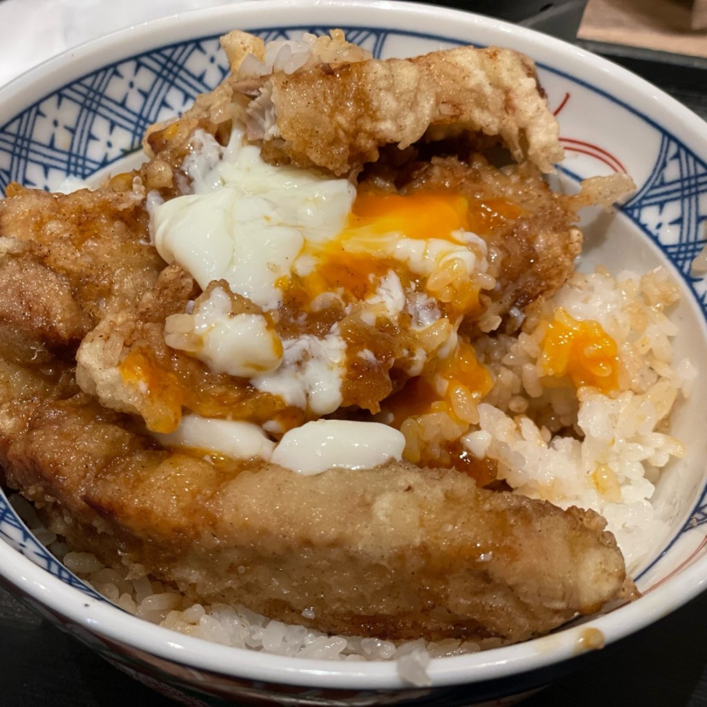 ユーザーが投稿した鶏天丼の写真 - 実際訪問したユーザーが直接撮影して投稿した銀座そば俺の そば GINZA5の写真