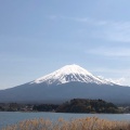 実際訪問したユーザーが直接撮影して投稿した大石花のきれいなスポット大石公園の写真