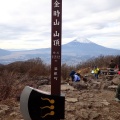 実際訪問したユーザーが直接撮影して投稿した山 / 峠金時山の写真