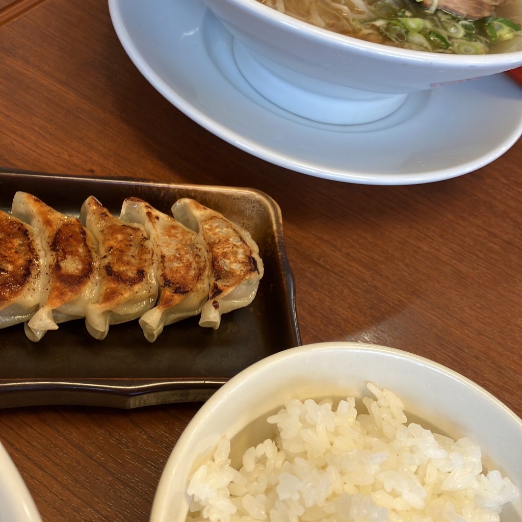 ユーザーが投稿した餃子の写真 - 実際訪問したユーザーが直接撮影して投稿した北栄ラーメン専門店ラーメン食堂 寅の写真