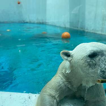 熊本市動植物園のundefinedに実際訪問訪問したユーザーunknownさんが新しく投稿した新着口コミの写真