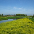 実際訪問したユーザーが直接撮影して投稿した河川桂川の写真