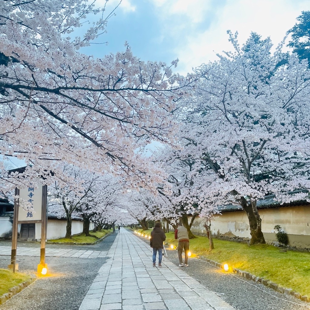 きゃりこやでさんが投稿した醍醐東大路町寺のお店醍醐寺/ダイゴジの写真