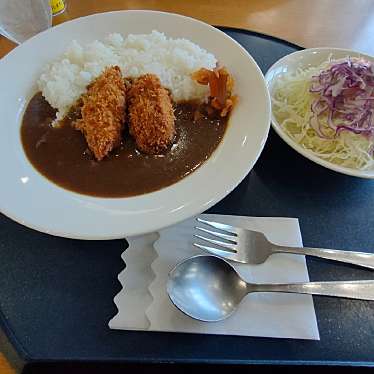 実際訪問したユーザーが直接撮影して投稿した小机町定食屋トリエドールの写真