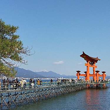 YST10さんが投稿した宮島町神社のお店厳島神社/イツクシマジンジャの写真