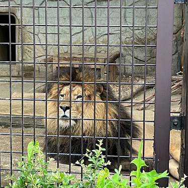 大牟田市動物園のundefinedに実際訪問訪問したユーザーunknownさんが新しく投稿した新着口コミの写真