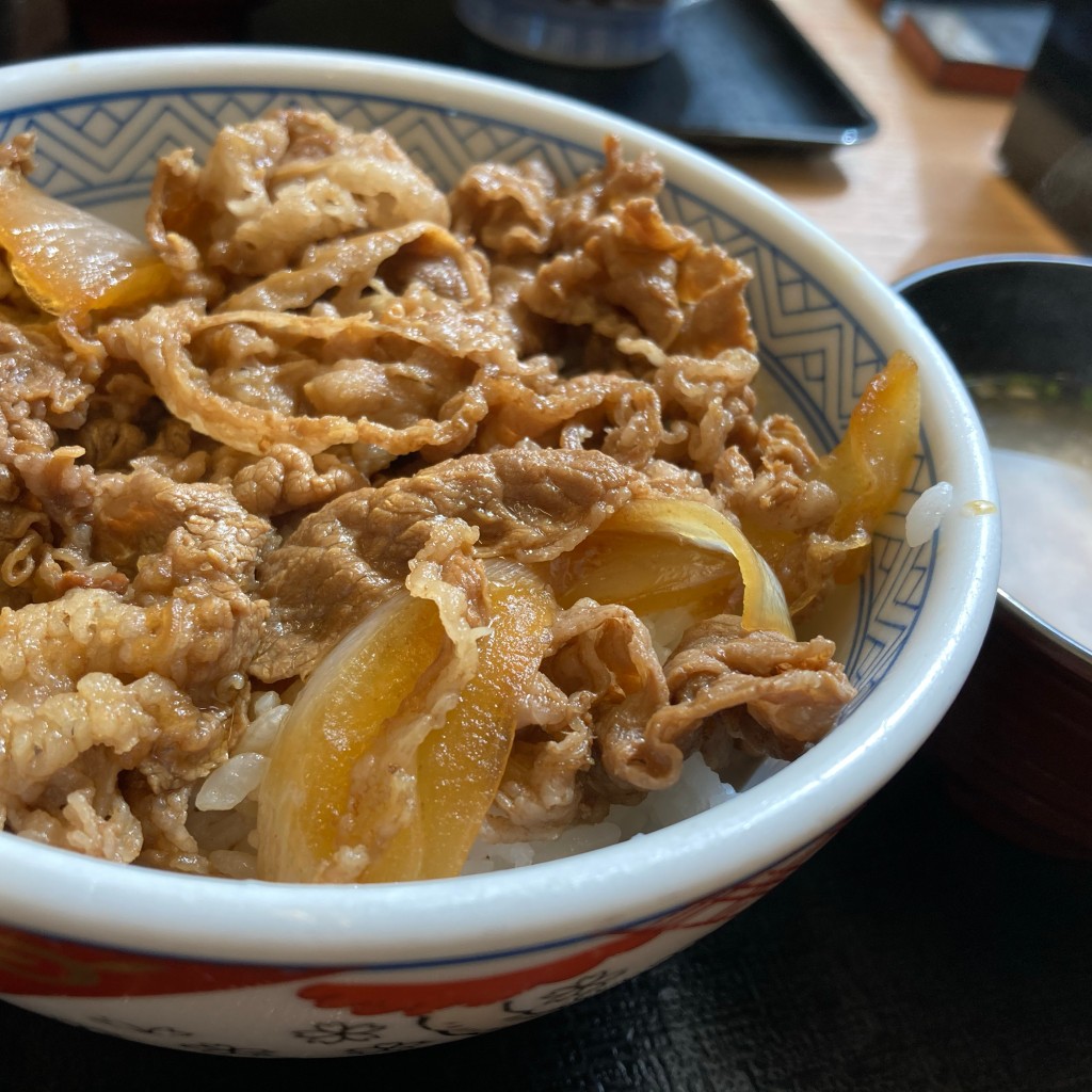 ユーザーが投稿した牛丼の写真 - 実際訪問したユーザーが直接撮影して投稿した平野町福中牛丼吉野家 175号線玉津店の写真