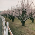 実際訪問したユーザーが直接撮影して投稿した今田公園境川遊水地公園の写真