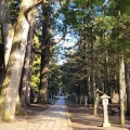 実際訪問したユーザーが直接撮影して投稿した高野山寺金剛峯寺 奥之院の写真