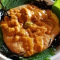 実際訪問したユーザーが直接撮影して投稿した伊豆山和食 / 日本料理麦とろ童子の写真