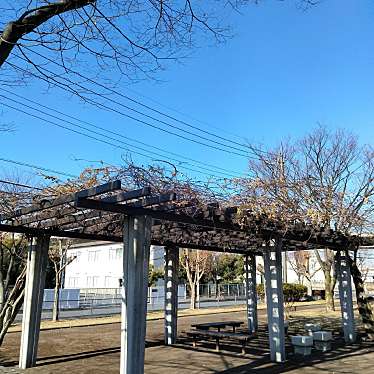 実際訪問したユーザーが直接撮影して投稿した公園舎人公園の写真