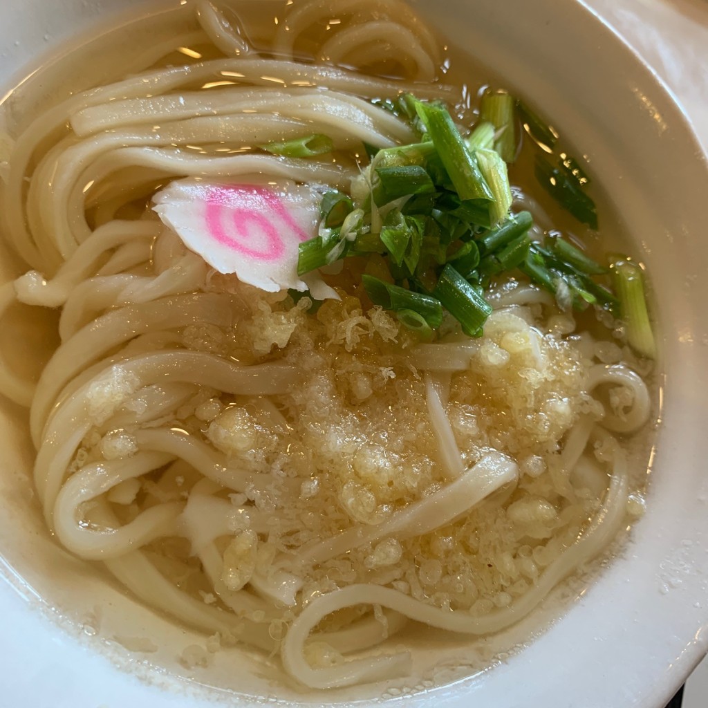 ユーザーが投稿した温うどん そばの写真 - 実際訪問したユーザーが直接撮影して投稿した京泊うどん食事処 林家の写真