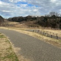 実際訪問したユーザーが直接撮影して投稿した緑が丘西公園北東部近隣公園の写真