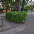 実際訪問したユーザーが直接撮影して投稿した三の丸公園名城公園の写真