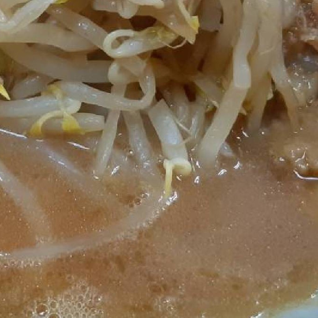 豪徳寺レイカさんが投稿した柳崎ラーメン専門店のお店ラーメン 富士丸 東浦和店/らーめんふじまるひがしうらわてんの写真