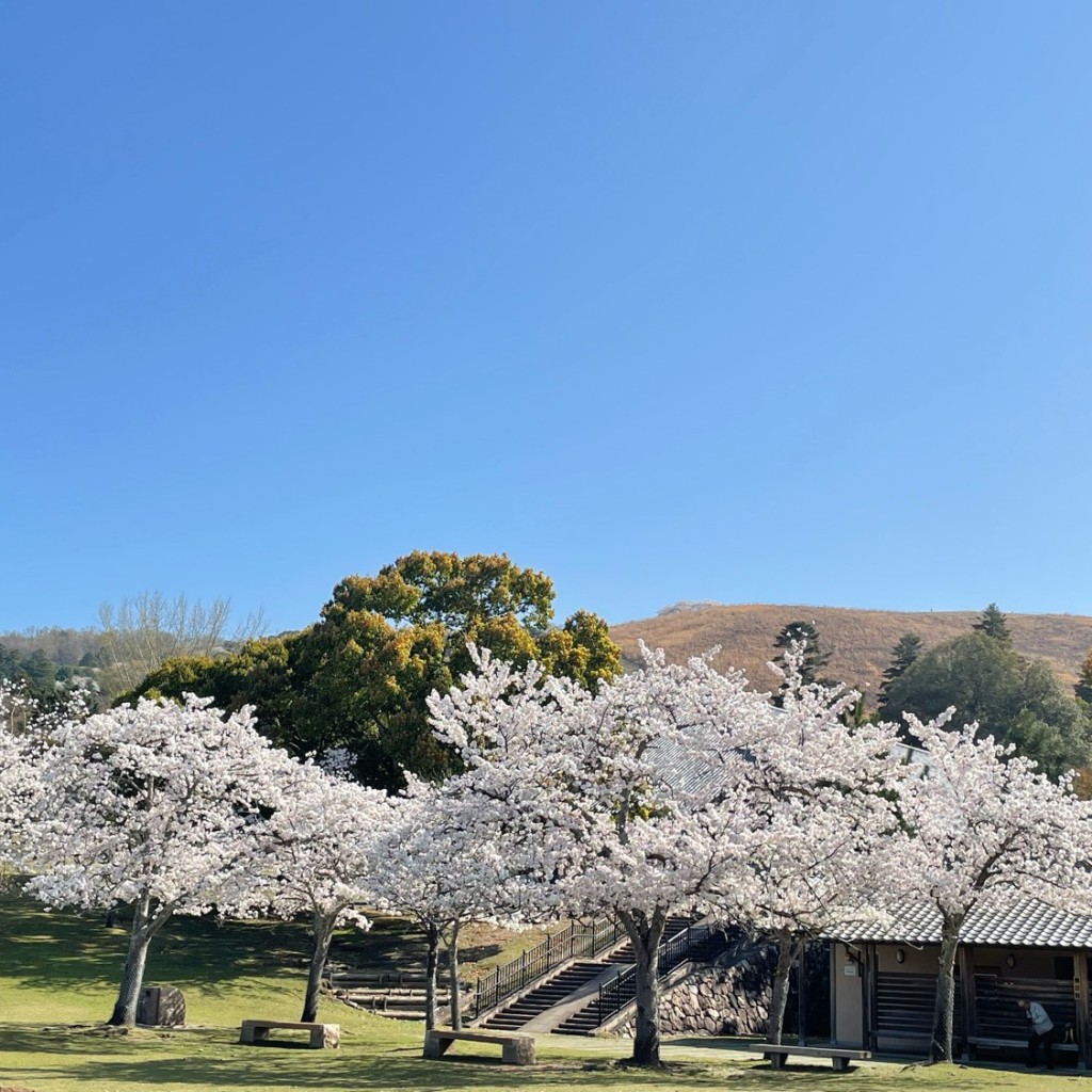 実際訪問したユーザーが直接撮影して投稿した雑司町山 / 峠若草山の写真