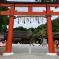 実際訪問したユーザーが直接撮影して投稿した上賀茂本山神社上賀茂神社の写真