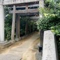 実際訪問したユーザーが直接撮影して投稿した弁天神社厳島神社の写真