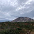 実際訪問したユーザーが直接撮影して投稿した山 / 峠旭岳の写真