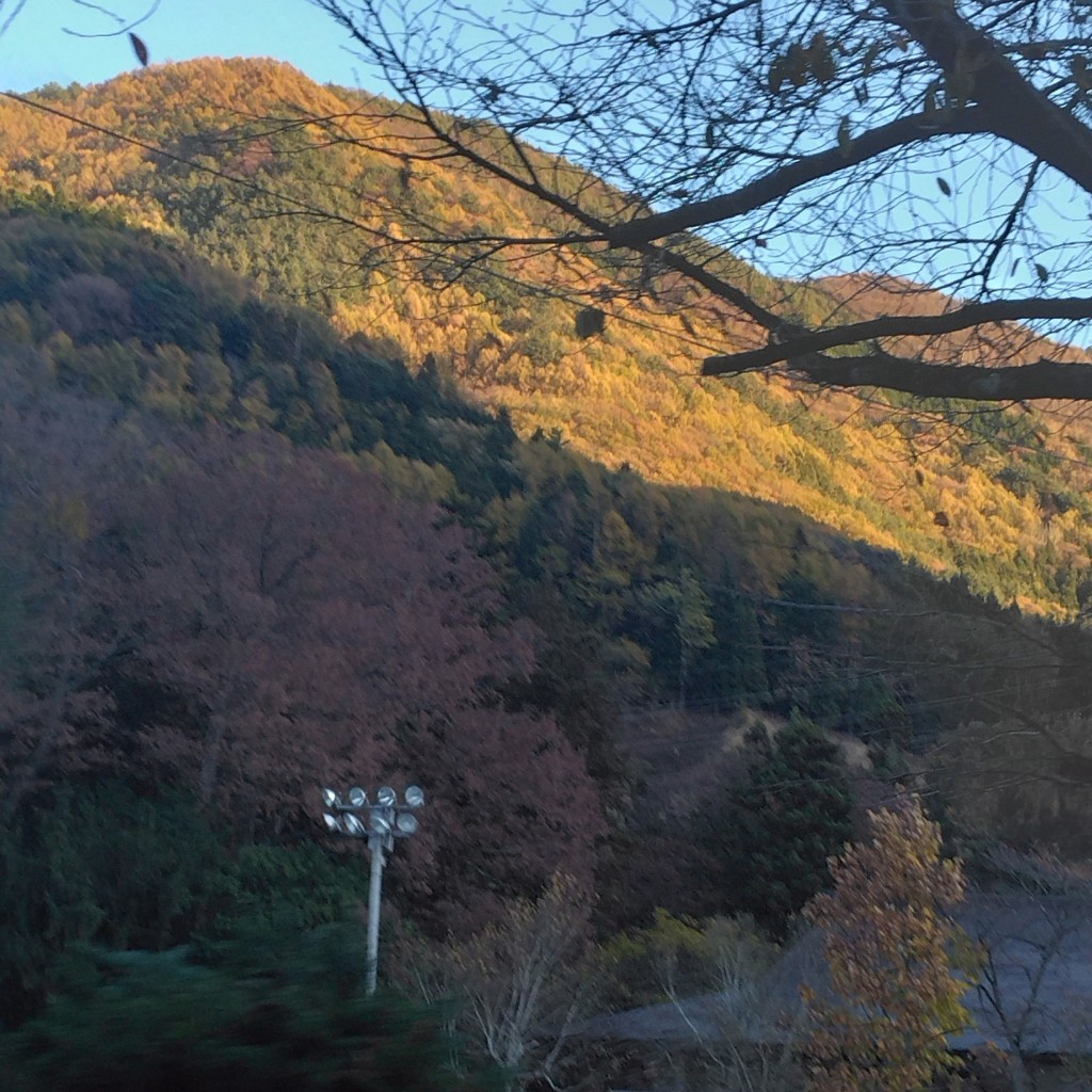 実際訪問したユーザーが直接撮影して投稿した利根町大楊オートキャンプ場グリーンパークふきわれの写真